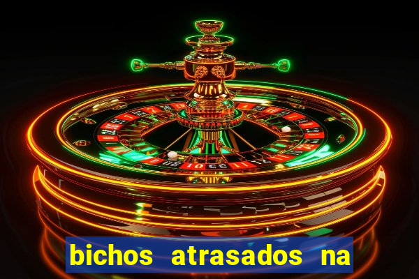 bichos atrasados na loteria federal